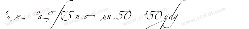 VNI Zapfino One Regu字体转换